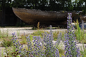 am alten Hafen